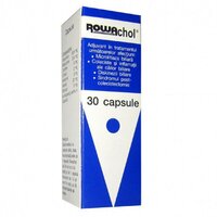 Rowachol, 30 capsule, Rowa Wagner