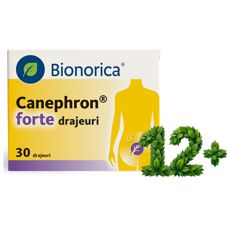 Canephron forte, 30 drajeuri, Bionorica 748559