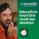 Spray oral cu nicotina si aroma de menta, 1 mg, 13.2 ml, Nicorette 724617