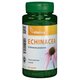 Extract de echinacea, 250 mg, 90 capsule, Vitaking 661307