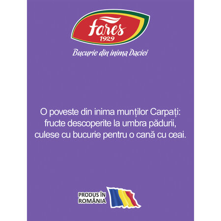 Ceai Fructele Carpatilor Aromfruct, 20 plicuri, Fares 604220
