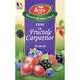 Ceai Fructele Carpatilor Aromfruct, 20 plicuri, Fares 604218