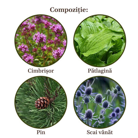 Tinctura Respiratorus, 200 ml, Faunus Plant 680784