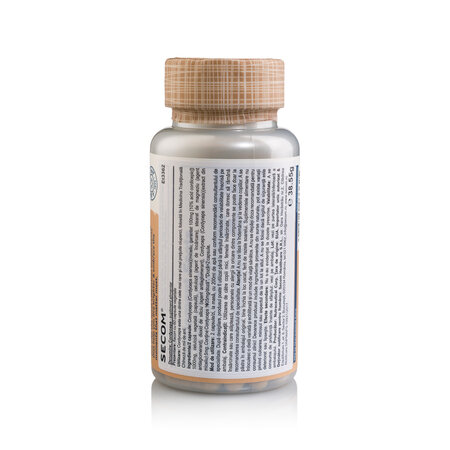 Cordyceps Solaray, 60 capsule, Secom 724975