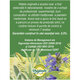 Ceai Bronhofit, R57, 20 plicuri, Fares 623942
