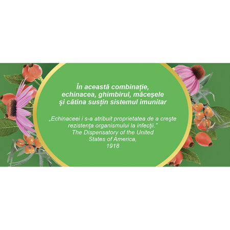 Ceai Imunitate F194, 20 plicuri, Fares 623971