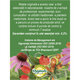 Ceai Imunitate F194, 20 plicuri, Fares 623968