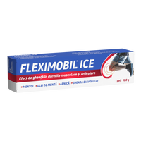 Fleximobil Ice gel, 100g, Fiterman