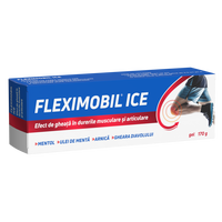 Fleximobil Ice gel, 170g, Fiterman