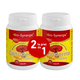 Pachet Ganoderma elixirul tineretii, 400mg, 60 + 60 capsule, Bio-Synergie 513679