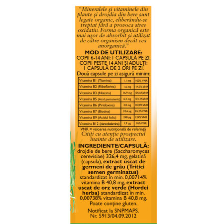 Vitamine naturale B Complex, F172, 60 capsule, Fares 614168