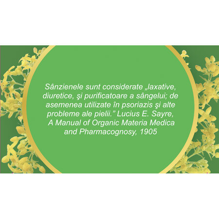 Ceai Sanziene iarba U 91, 50 g, Fares 618217
