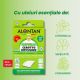 Plasturi cu uleiuri esentiale naturale Alontan Natural, de la 0+ luni, 24 bucati, Pietrasanta Pharma 660026
