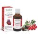 Polygemma 23 Cardio, 50ml, Plant Extrakt 731851