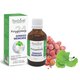 Polygemma 24 Ginkgo Memorie, 50 ml, Plant Extrakt 731852