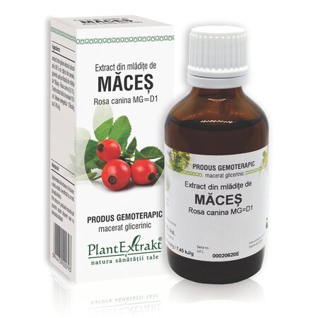Extract din mladite de Maces, 50 ml, Plant Extract