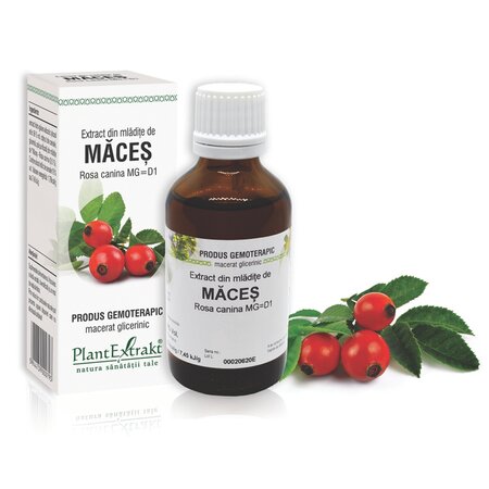 Extract din mladite de Maces, 50 ml, Plant Extract 734960