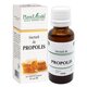 Tinctura de Propolis, 30 ml, Plant Extrakt 738531