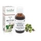Tinctura de Brusture, 50 ml, Plant Extrakt 738404
