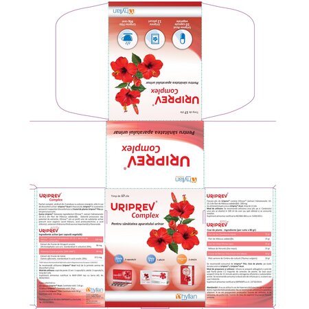 Uriprev Complex, 10 capsule + 12 plicuri + 80 g, Hyllan 703027