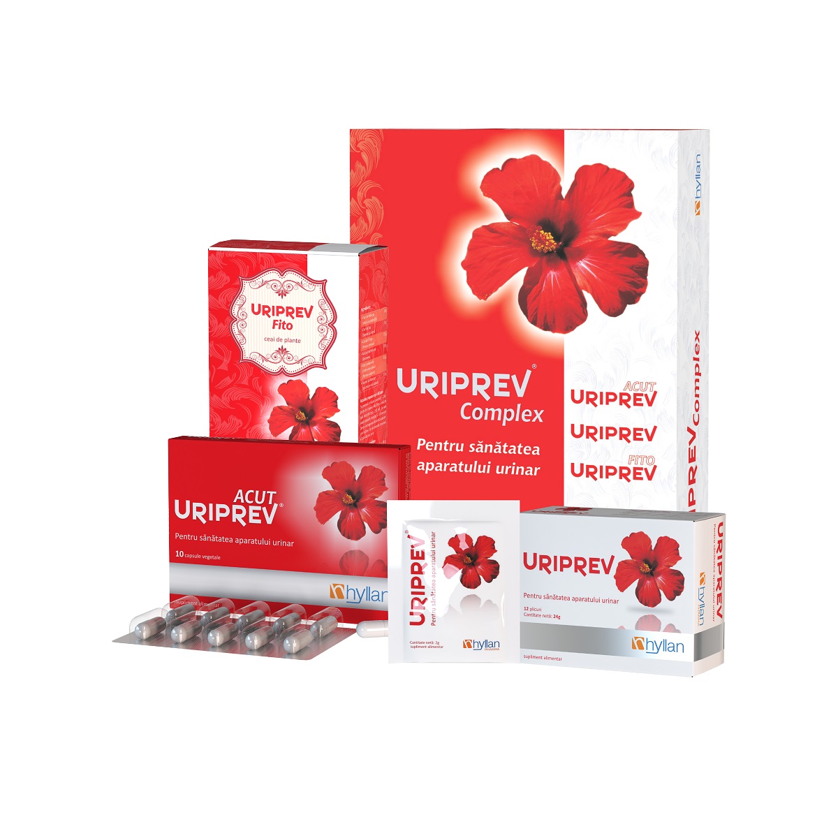 Uriprev Complex, 10 capsule + 12 plicuri + 80 g, Hyllan