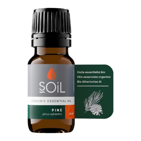 Ulei Esential Pin Pur 100% Organic, 10 ml, SOiL
