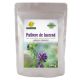 Pulbere de lucerna, 200 g, Phyto Biocare 698888