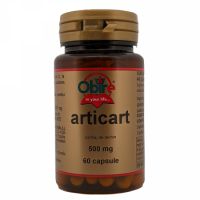 Articart, 60 capsule, Obire