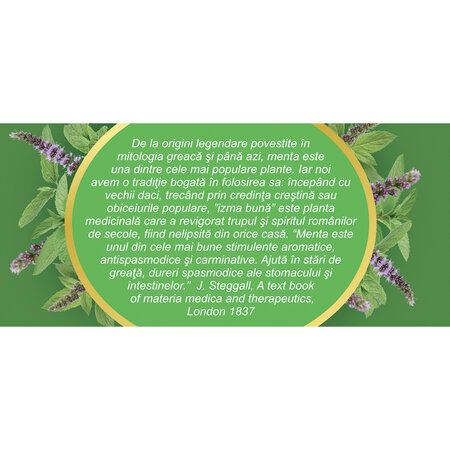 Ceai de menta Bio D127, 20 plicuri, Fares 604342