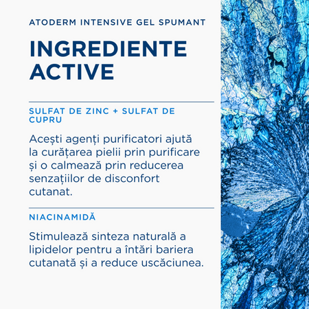 Gel spumant Atoderm Intensive, 1L, Bioderma 752691