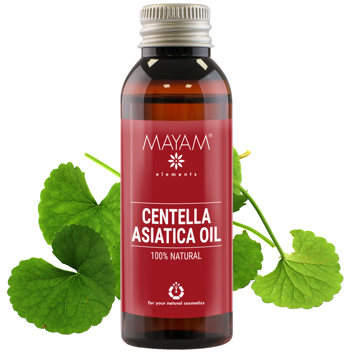 Ulei de centella asiatica (M - 1168), 50 ml, Mayam