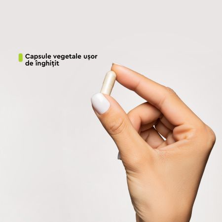 Train Your Brain Good Routine, 60 capsule, Secom 711727