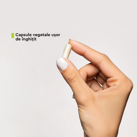 Train Your Brain Good Routine, 60 capsule, Secom 711727