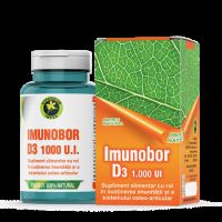 Imunobor D3 1000 UI, 60 capsule, Hypericum