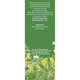Ceai cimbru iarba, R43, 50 g, Fares 618000