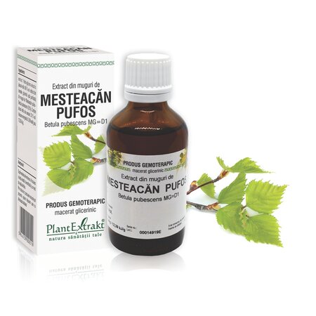 Extract din muguri de Mesteacan Pufos, 50 ml, Plant Extrakt 737150