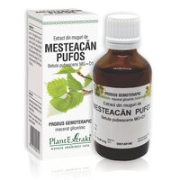 Extract din muguri de Mesteacan Pufos, 50 ml, Plant Extrakt