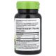Licorice (Lemn-dulce) Nature's Way, 450 mg, 100 capsule, Secom 715633