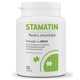 Stamatin, 30 capsule, Healthy Life 624820