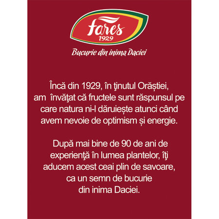 Ceai multifructe, 20 plicuri, Fares 604327