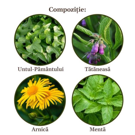 Gel Reumaticus, 250ml, Faunus Plant 680752