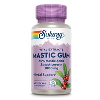 Mastic Gum Solaray, 1000 mg, 45 capsule, Secom