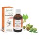 Polygemma 13 Piele Detoxifiere, 50 ml, Plant Extrakt 731810