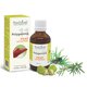 Polygemma 11 Ficat detoxifiere, 50 ml, Plant Extrakt 731798