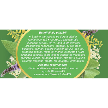 Viroherb R59, 20 plicuri, Fares 623991
