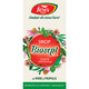 Sirop cu miere si propolis Biosept A13, 100 ml, Fares 620884
