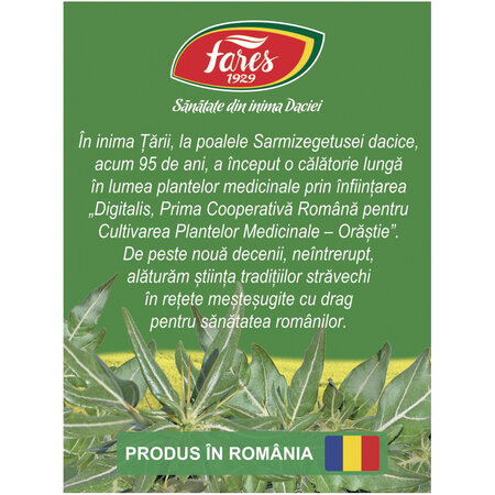 Ceai de Ghimpe U87, 20 plicuri, Fares 618520