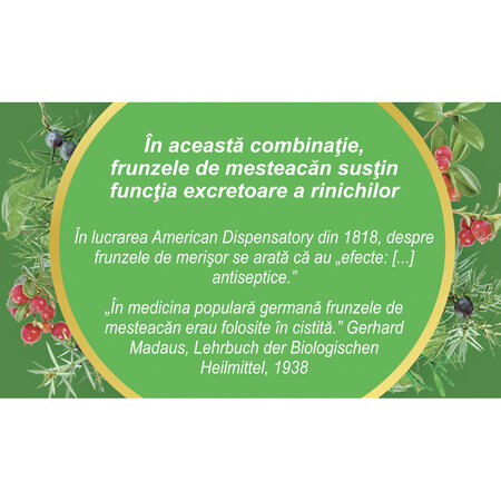 Ceai Diurosept, U62, 50 g, Fares 623503