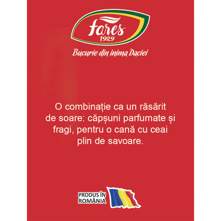 Ceai de capsuni si fragi Aromfruct, 20 plicuri, Fares 604203