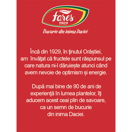 Ceai de capsuni si fragi Aromfruct, 20 plicuri, Fares 604204